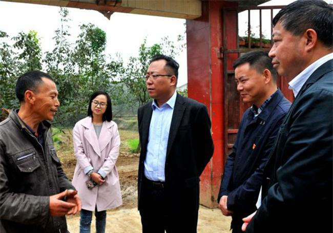 江油市委书记周涛,副书记钟培在检查督导和暗访 庙莉 摄